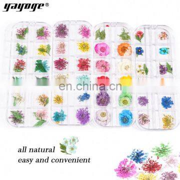 3D Nail Pressed 3D Dry Flower Canada