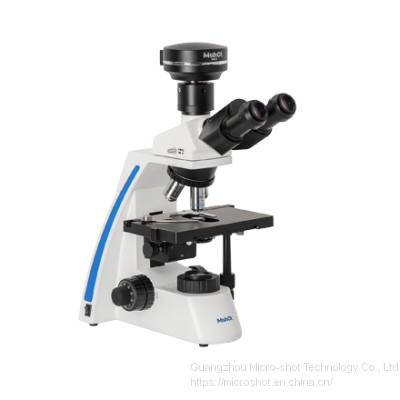 Routine biological microscope with trinocular observation tube ML31