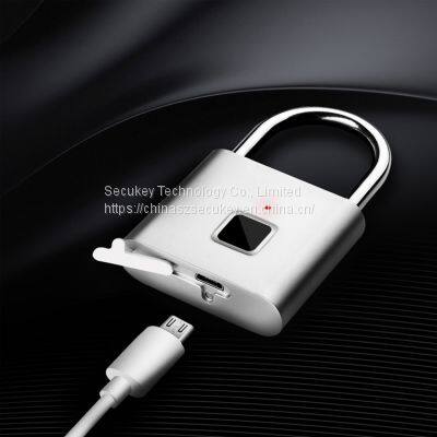 Secukey Fingerprint Padlock IP62 Waterproof Smart Digital Zinc Alloy Fingerprint Lock Keyless Intelligent Door Lock photo-4
