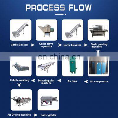 Garlic Peeling Production Line Garlic Allium Sativum Fruit Processing Equipment photo-2