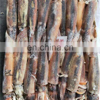 Frozen Illex Squid Illex Argentina 150/200 200/300 photo-2