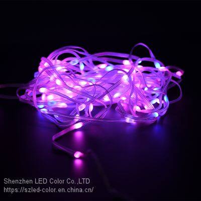 Decorative Light garden rgb color changing party light christmas lights