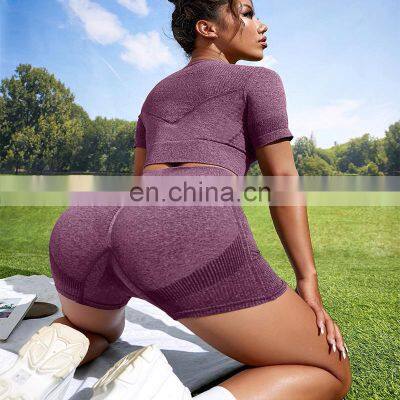 Seamless Two Piece Yoga Wear Custom Workout Short Sleeve Crop Top And Shorts Women Activewear Private Gym Fitness Sets