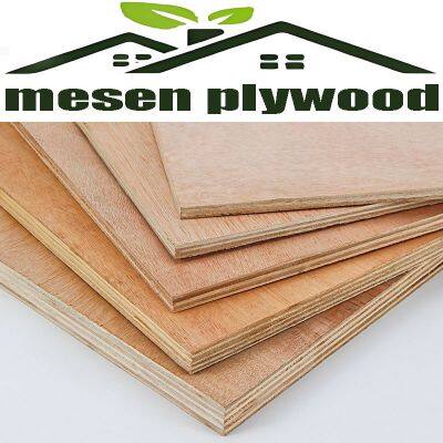 1220X2440mm Plywood for Furniture, Decoration, Building and Packing Usage with 3mm-30mm Thickness