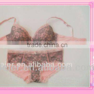 Micro/Lace Plus Size Bra&Underwear Set Real Lingerie