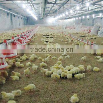 Full Set High Quality Poultry Feeding and Nipple Drinking System for Broiler