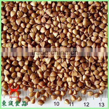 Organic cereal roasted buckwheat seed