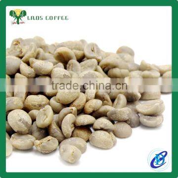 Green Coffee Beans Price Green Arabica Coffee Beans for Sale photo-2