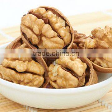 Favorable price of organic walnut in shell