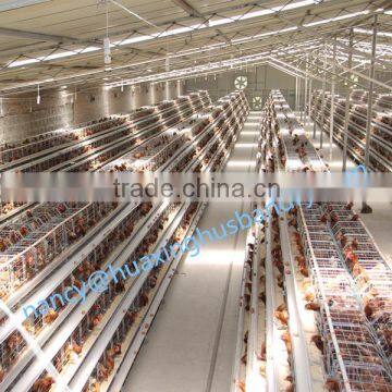 Used High Quality Chicken Farm Poultry Equipments for Sale