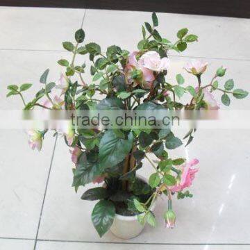 Mini bonsai,artificial pinaster bonsai,mini plant bonsai