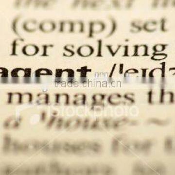 Agent service / Inspection agent