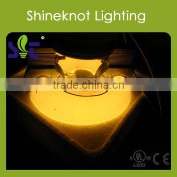 Greenhouse Induction growing light