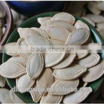 Shine Skin Pumpkin Seeds Wholesale Raw Material photo-4