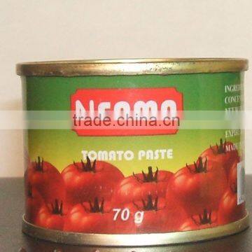 Printed 70gr Small Size Tomato Paste in Can