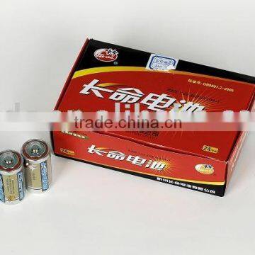 R20 Battery