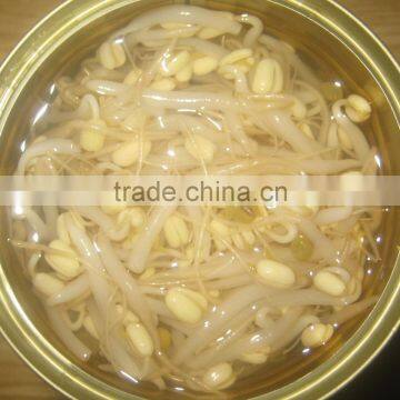 Bean Sprout in Brine