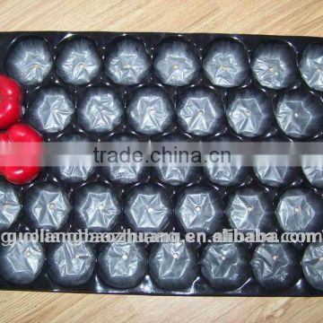 35 cells Blister Inner Liner Tray/Good Quality