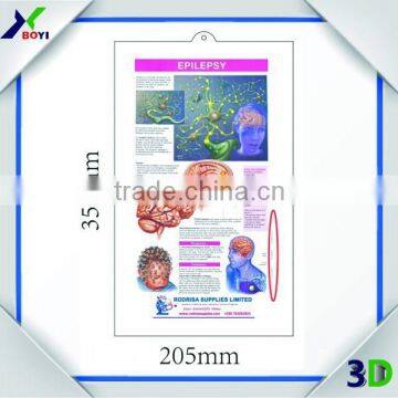 3D Anatomical Chart--- Ear, Nose and Throat (ENT) photo-2