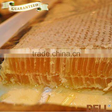 Premium quality fresh natural pure raw honey                        
                                                Quality Choice