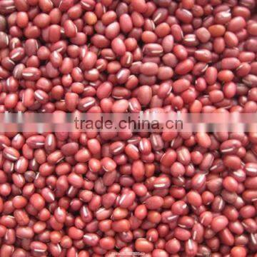 China Small red beans for sale