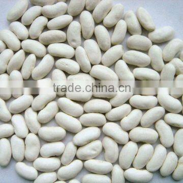 NEW CROP Small white kidney beans