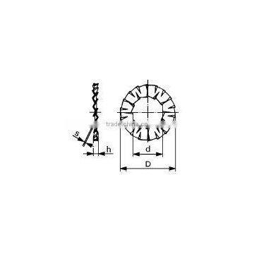 Double serrated lock washer