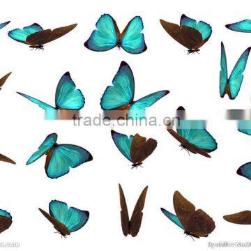 colored high quality non-toxic body water butterfly temporary tattoo