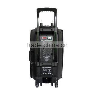 15 Inch Hot Active Type Portable Trolley Bluetooth Speaker With fm Radio photo-5