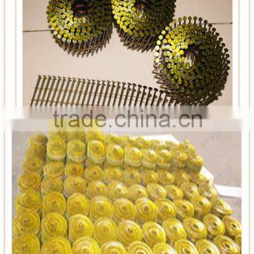 Best Price Coil Nails Factory in Guangzhou photo-6