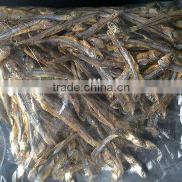 new dried fish wholesale