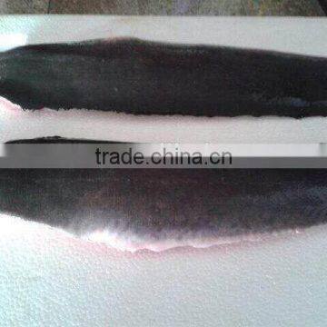 new frozen catfish fillet skin on for sale