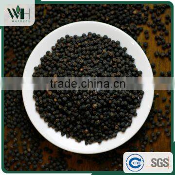 Vietnam best herb - black pepperseed 550gl 500gl with good price