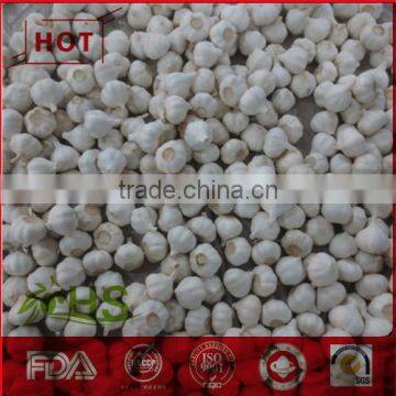 White Fresh Chinese Garlic for Sale photo-2
