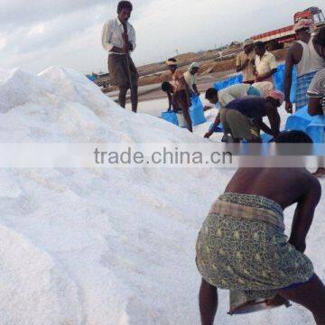 Crystal Salt Iodized photo-4