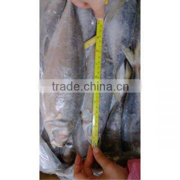 Major food products of China seafood