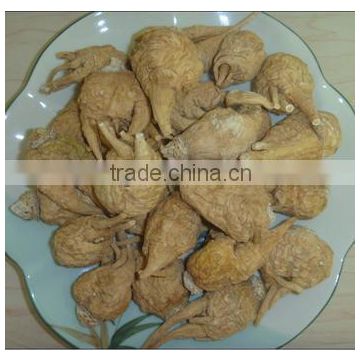 2014 Qingdao BNP Supply Best 100% Natural Maca Root Extract--maca seeds