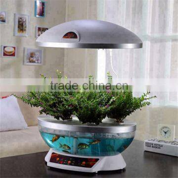 fish tank ornaments