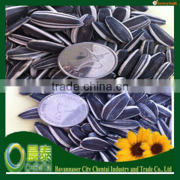 New Crop Raw Material Plain Sunflower Seeds 6009