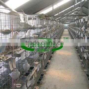 Low Carbon Steel Wire 2m Pigeon Cage for Breeding