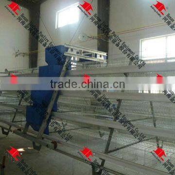 automatic pullet feeding system