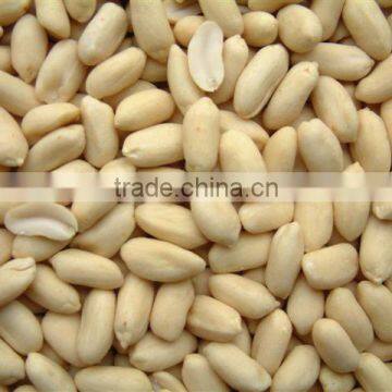 Raw peanut without shell made in Vietnam