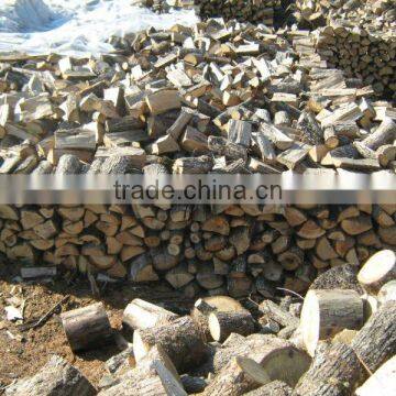 firewood BULGARIA
