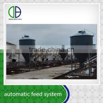 Automatic feeding system for pig farm equipment