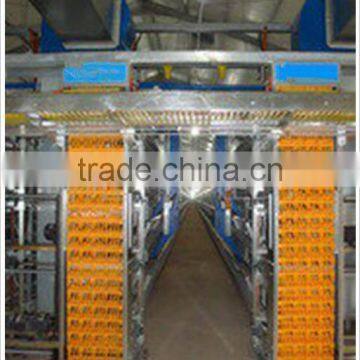 Factory supply larger scale equipment automatic egg collecting system