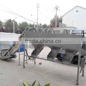 Garlic Processing Whole Line Garlic Separator +8618637188608 photo-2