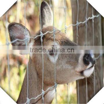 High Quality Galvanized Field Fence for Sale / Sheep Fence / Galvanized Fiedl Fence for Sale photo-6