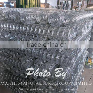 Factory Welded Wire Mesh photo-6
