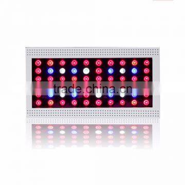 300w Led Hydroponic Grow Light 5w Chip for Hydroponic Veg and Bloom Led Grow Bulb photo-4