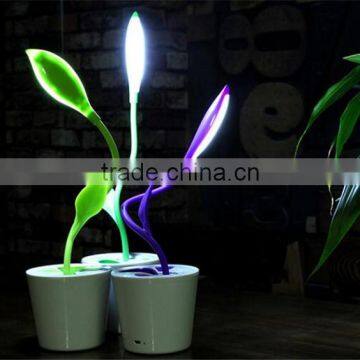 Creative Eye Touch Nightlight Charging Type Adjustable Switch No Radiation Doudou Seedlings of LED Lamp photo-5